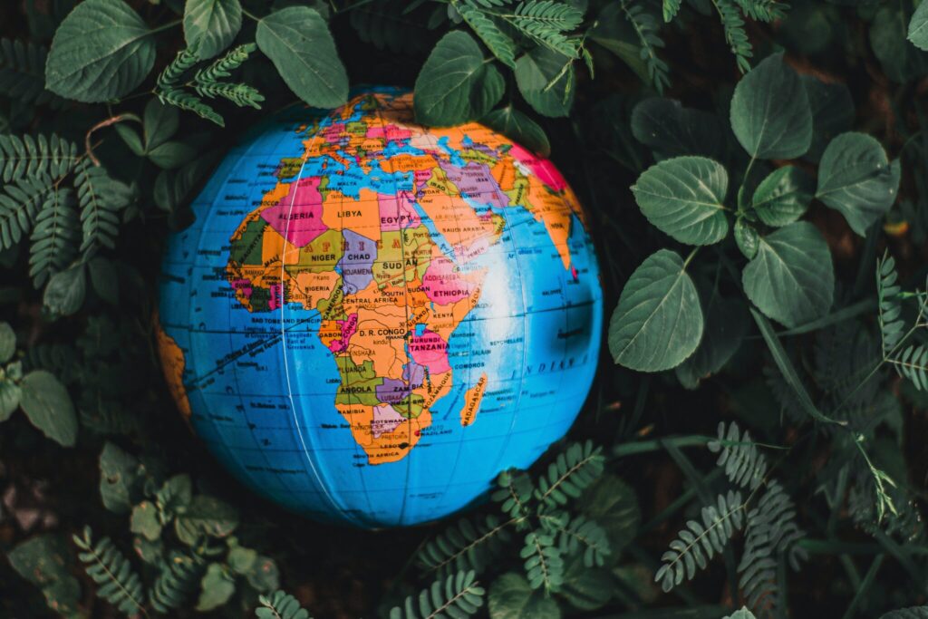 An inflatable globe focused on the African continent. The globe is nestled among green leaves.